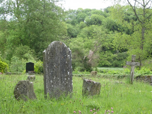 Photo of old headstones in wildgrass