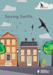 Saving Swifts booklet cover (photo courtesy of Birdwatch Ireland)