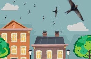 Saving Swifts booklet cover (photo courtesy of Birdwatch Ireland)